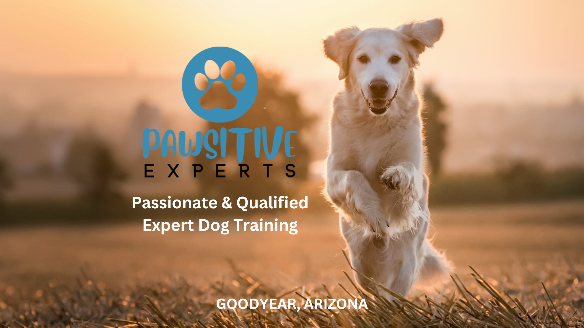 Meet Matthew Smolich Business Owner, Dog Trainer, & Animal Behavioral