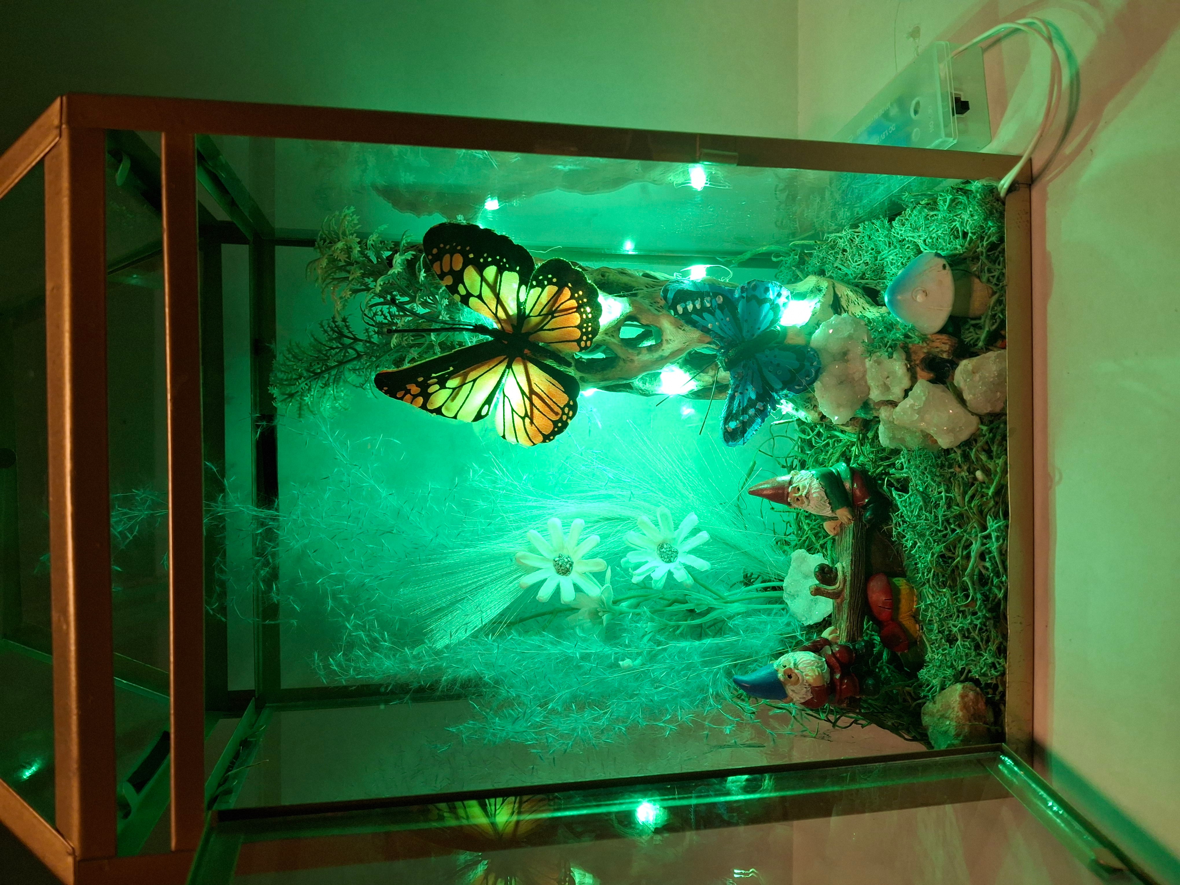 Glass display case with butterfly, flowers, and greenery, illuminated by green light, viewed from the side.